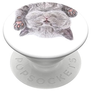 POPSOCKETS ORIGINAL 2G CAT NAP (6696977465552)